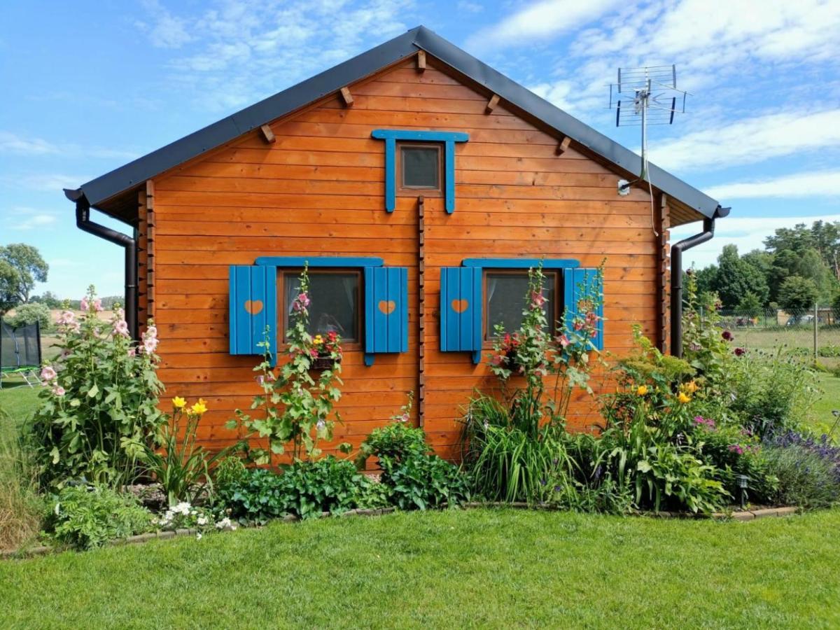 Smocze Ranczo Ferienhaus Ośno Lubuskie
