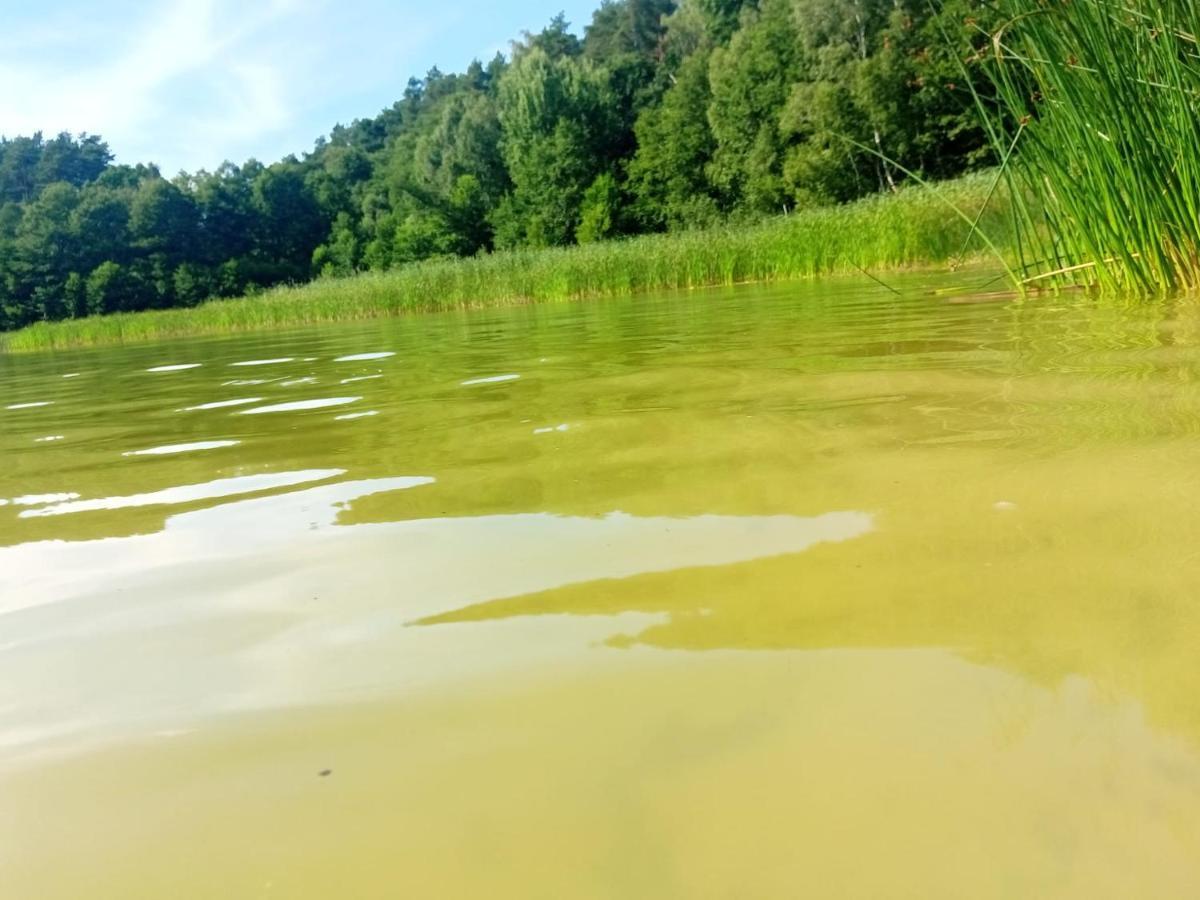 Smocze Ranczo Ferienhaus Ośno Lubuskie