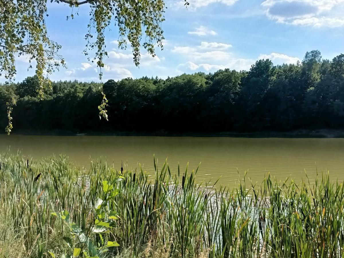 Ferienhaus Smocze Ranczo Ośno Lubuskie